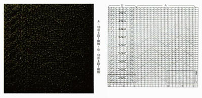 棒针暗纹花样