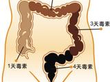 [轉(zhuǎn)載]教你如何清腸，教你早晨清腸、除口臭、色斑、大肚腩