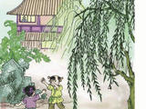 綠涼——棉蕾絲短袖