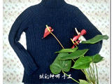 【轉(zhuǎn)載】璀璨（Y型花樣志田19の17款）——201415