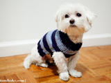 Linus’ Sweater --網(wǎng)上資源轉(zhuǎn)貼