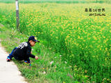 【晨晨的世界】踏春