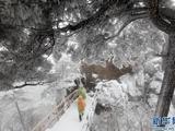 【轉(zhuǎn)載】黃山2015首場(chǎng)大雪