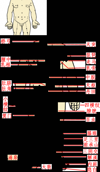 【轉載】長壽秘訣 ：29種按摩手法