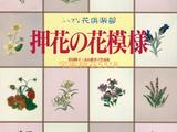 美麗的押花花摸樣作品集