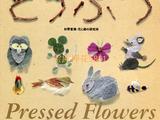 押花小動物作品集錦