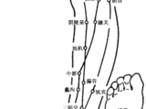 雙腿反映全身病+艾灰妙用