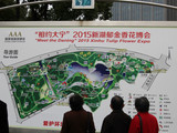 2015上海大寧公園郁金香花博會(huì)