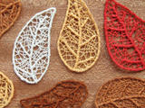 Needle Lace Skeleton Leaves（樹葉）