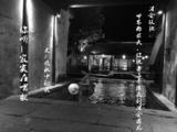 你聽——寂寞在唱歌