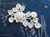 【轉(zhuǎn)載】無意中發(fā)現(xiàn)的漂亮花葉