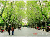 上海襄陽(yáng)公園