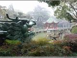 【轉載】【原創】丁香花園（一）