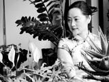 我的后花園（20150607）攝影笨笨