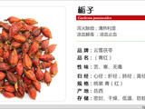 扭 傷+不孕+皮膚奇癢+高血壓+暖胃+宮頸糜爛