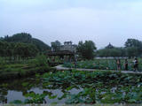 【轉(zhuǎn)載】中國最美鄉(xiāng)村—婺源
