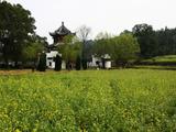 【轉(zhuǎn)載】中國(guó)最美的鄉(xiāng)村婺源____李坑