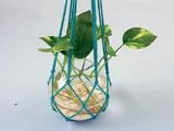 【轉載】轉----DIY手工制作懸掛綠植