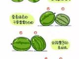 【轉(zhuǎn)載】如何簡(jiǎn)單快速又完美的吃掉平時(shí)比較難搞的水果呢？