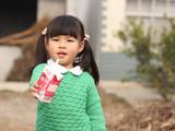 新葉——201402