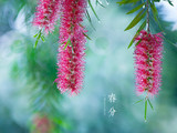 【轉(zhuǎn)載】明媚