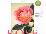版權(quán)快訊：70298折紙玫瑰花