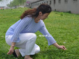 【轉(zhuǎn)載】藍(lán)色夢幻--淡藍(lán)色絲綿圓領(lǐng)九分袖套衫