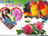 【轉載】常吃花生的5大驚人好處