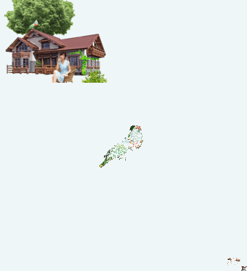【轉(zhuǎn)載】轉(zhuǎn)載】朋友的養(yǎng)花技巧