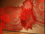 【轉(zhuǎn)載】USA artist Ashley V. Blalock lace Art