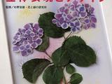 押花作品的立體表現(xiàn)與設(shè)計