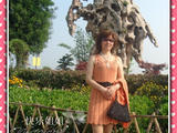 【轉(zhuǎn)載】【桔色飄香】2011