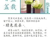 【轉載】還在買盆栽？你OUT了