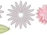 【轉(zhuǎn)載】美麗的花兒
