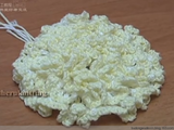 【轉(zhuǎn)載】16-1_2.螺旋形花朵_花朵鉤編教程_阿紫手工教程