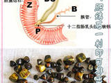 【轉(zhuǎn)載】膽結(jié)石一劑即可排出【轉(zhuǎn)】