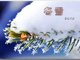 【轉載】冬雪