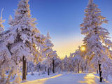 【轉(zhuǎn)載】雪之歌精選21首 --- 靜靜聆聽(tīng)，雪花飄落的聲音