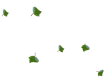【轉(zhuǎn)載】《綠葉 雪花 點(diǎn)綴》系列PNG免摳圖素材