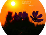 【轉載】花又開