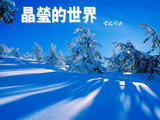 【轉(zhuǎn)載】晶瑩的世界