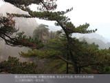 【轉(zhuǎn)載】黃山