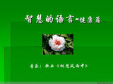 【轉(zhuǎn)載】智慧的語言---健康篇