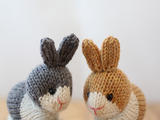 【轉載】Dutch Rabbits荷蘭兔