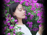 【轉載】最美.遇見【情感美文】