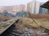 201410----仿霓裳。