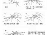 【轉(zhuǎn)載】用棒針織出來的雙辮子起頭法