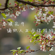 春暖花開(kāi) 編織人生線上與你相約（三月活動(dòng)概況）