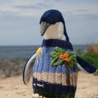 澳大利亚95岁老人为企鹅编织千件毛衣