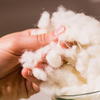 100%可再生天然纤维 关于羊毛的特性